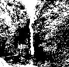 05P1100088.jpg